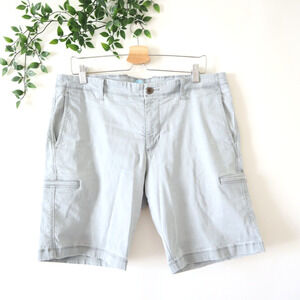 Tommy Bahama Men's Cotton Lyocell Blend Gray Shorts Size 34